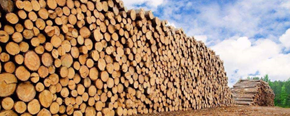 企业经营范围中建材销售包括木材吗