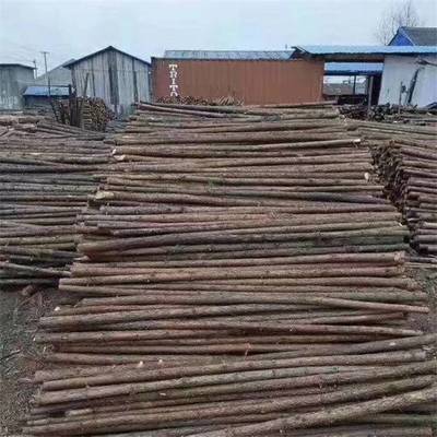 1.5-7米杉木杆 绿化杆 杉木桩 打桩木常年批量销售 湖北伟晨木材