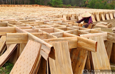 农行防城港分行:助力木材加工产业发展
