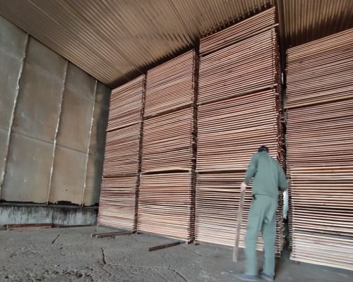 江山专业原木木材加工工厂